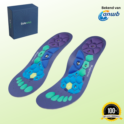 Ondersteunende Magnetische Inlegzolen